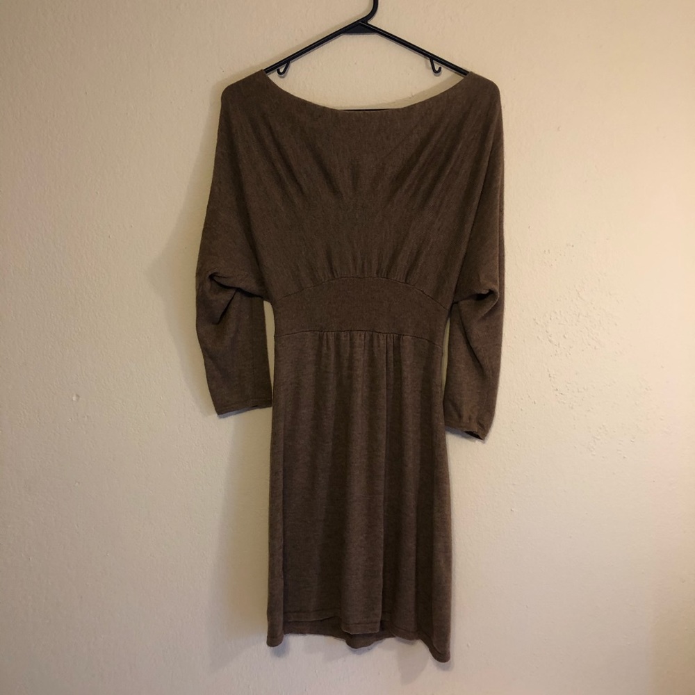 Express Brown Dress